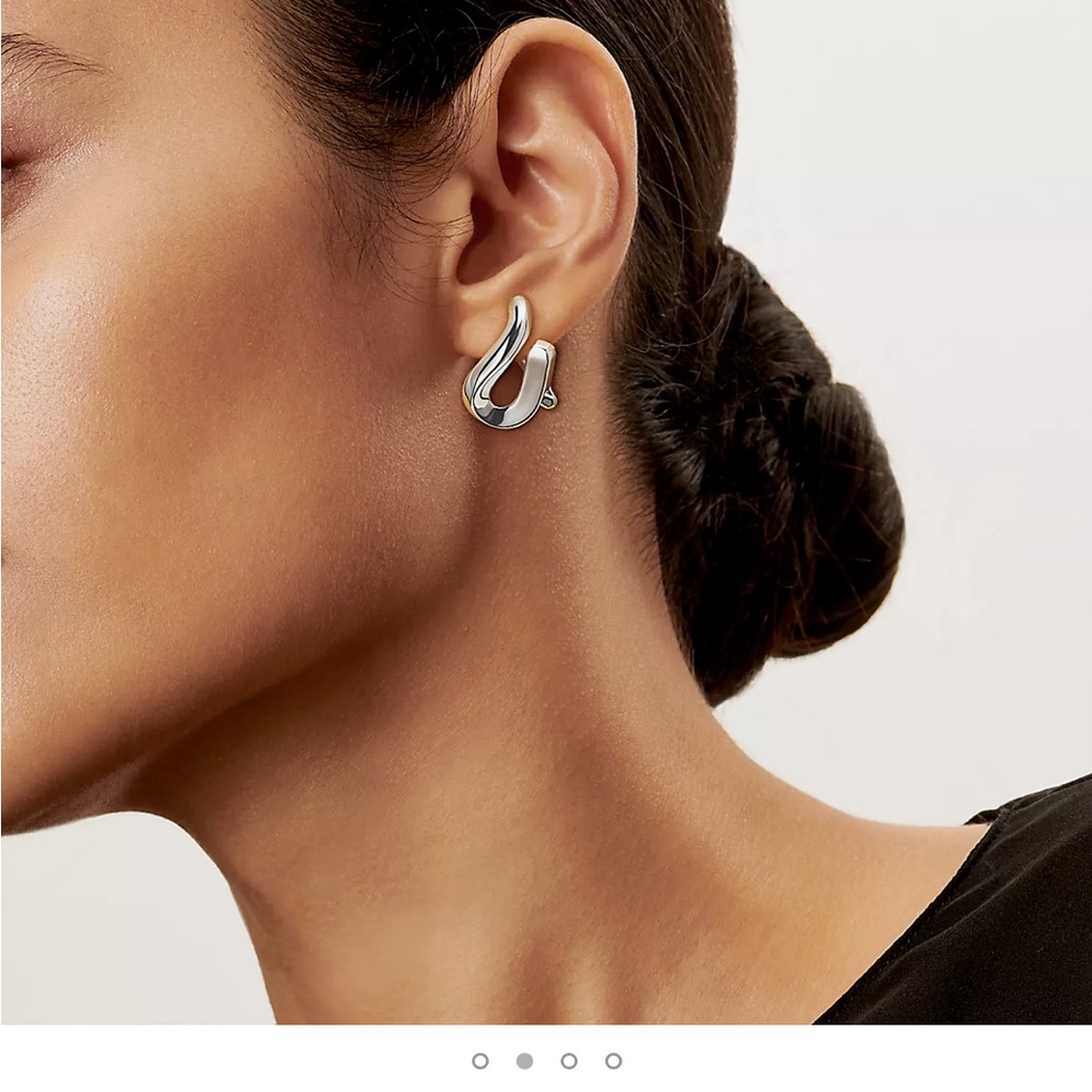 Elegant Silver Earrings